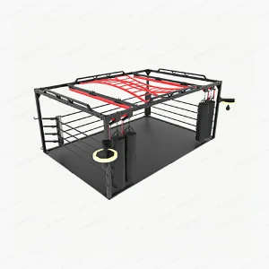 Function Boxing Ring